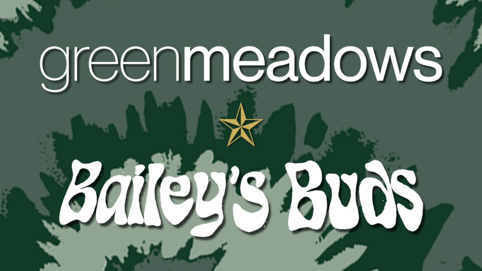 green meadows bailey's buds