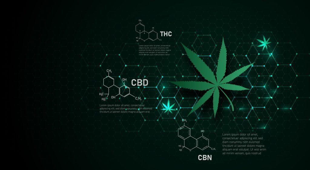 THC Isn’t Everything—Terpenes Matter More Than You Think