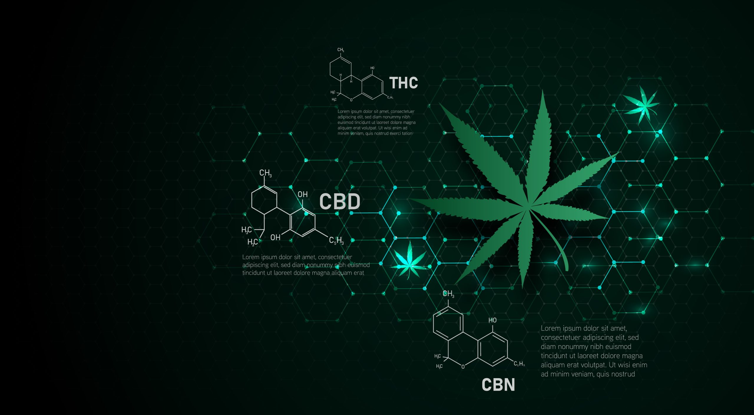 THC Isn’t Everything—Terpenes Matter More Than You Think