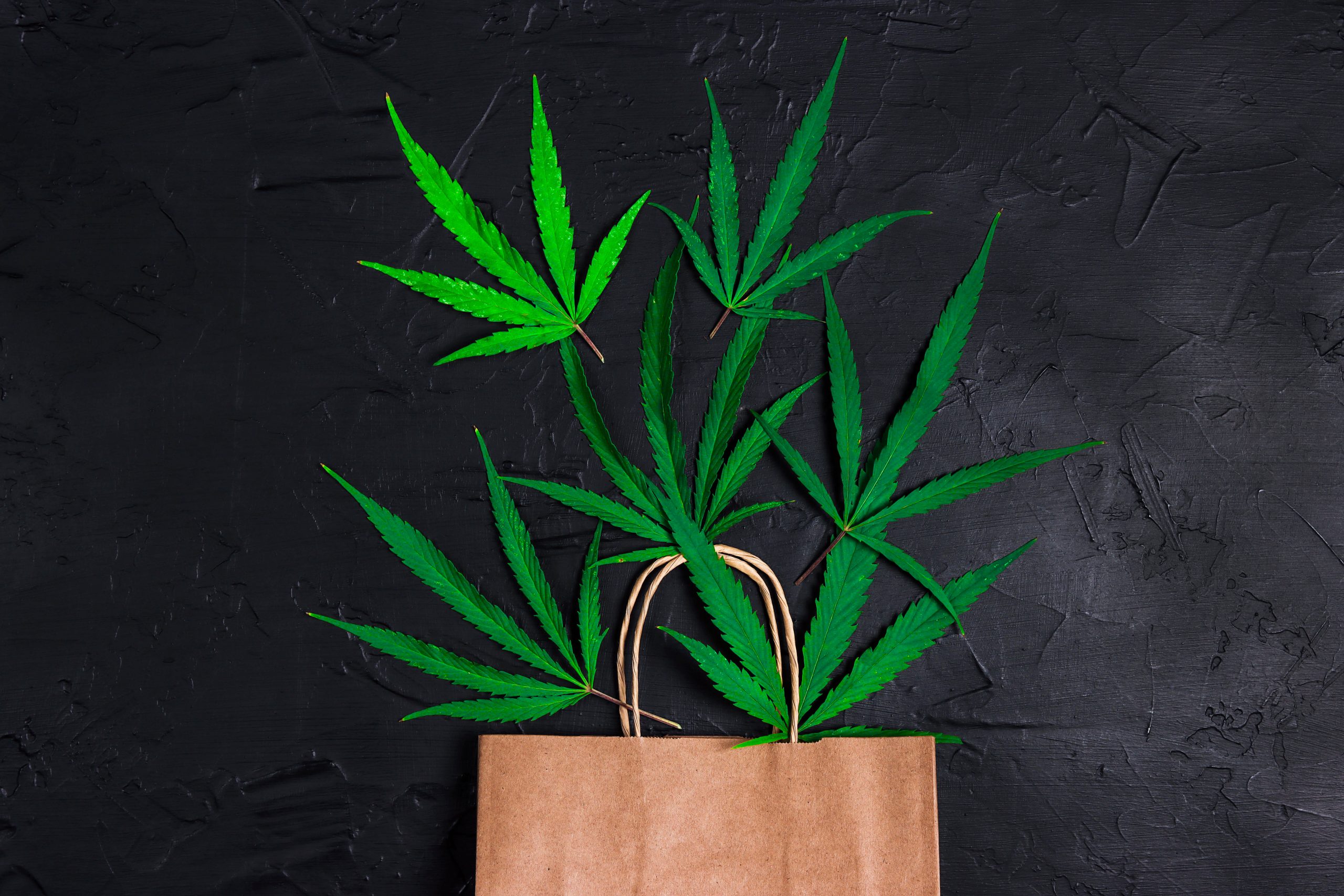 Governor Maura Healey signed H.5350, An Act Modernizing the Commonwealth’s Cannabis Laws, which took effect immediately in April 2026. One of the most consumer-facing updates is the increase in the adult-use cannabis purchase and possession limit from 1 ounce to 2 ounces for adults 21 and over. [masscannab...ontrol.com], [boston.com] This applies to purchases made at licensed Massachusetts dispensaries, including both in-store and delivery transactions, under Cannabis Control Commission (CCC) oversight.