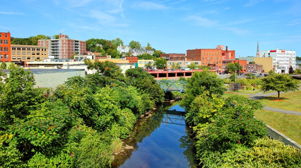 Is AMP Fitchburg Dispensary Closed? Visit Green Meadows for Medical Cannabis