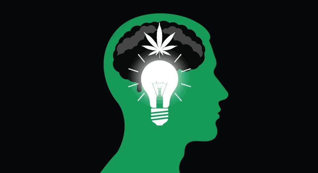 Endocannabinoid system explained