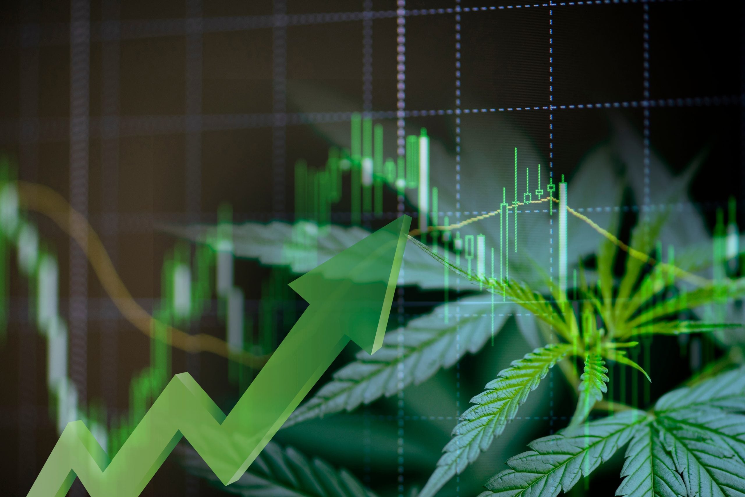 Massachusetts cannabis retail